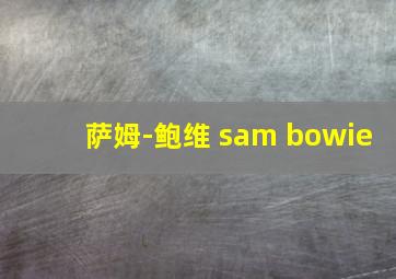 萨姆-鲍维 sam bowie